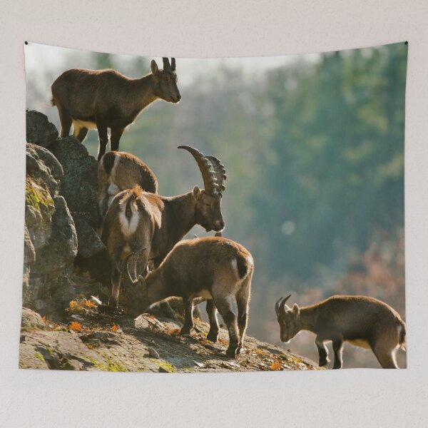 Item preview, Ibex designed and sold by Michael Cummings.