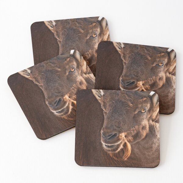 Item preview, Ibex designed and sold by Michael Cummings.