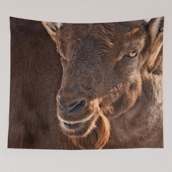 Item preview, Ibex designed and sold by Michael Cummings.