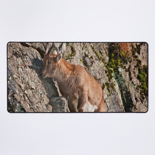 Item preview, Ibex On Rocks designed and sold by Michael Cummings.