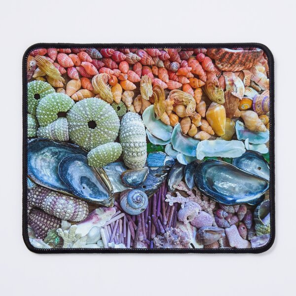 Item preview, Rainbow Sea Shells designed and sold by KatarinaNavane.