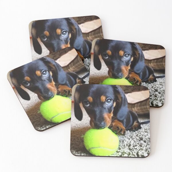 Item preview, Dachshund Dog photo portrait sweet funny with tennis ball designed and sold by Coolstuff4you71.