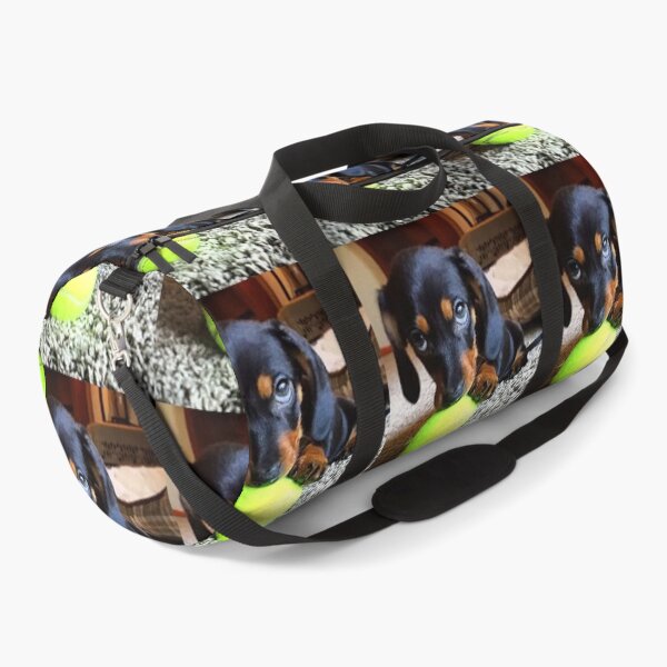 Item preview, Dachshund Dog foto retrato dulce gracioso con pelota de tenis designed and sold by Coolstuff4you71.