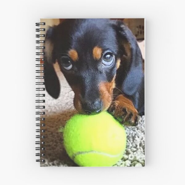 Item preview, Dachshund Dog photo portrait sweet funny with tennis ball designed and sold by Coolstuff4you71.