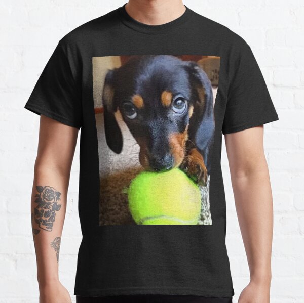 Dackel Hund Fotoportrait süß lustig mit Tennisball Classic T-Shirt