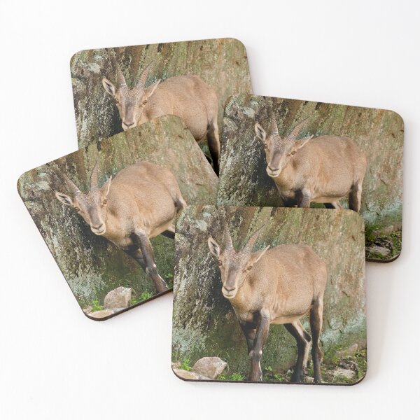 Item preview, Ibex designed and sold by Michael Cummings.