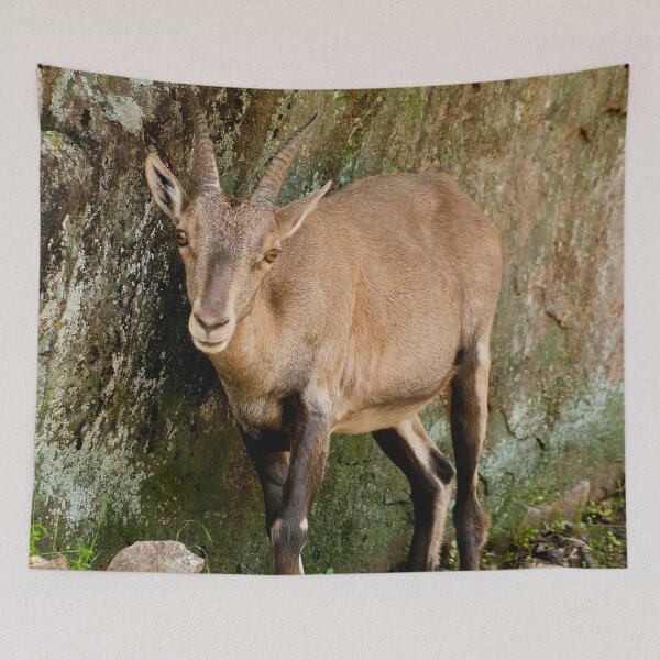 Item preview, Ibex designed and sold by Michael Cummings.