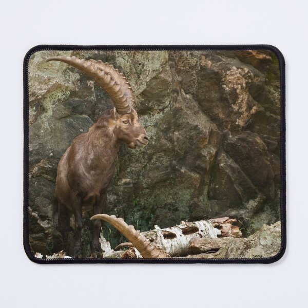 Item preview, Ibex On Rocks designed and sold by Michael Cummings.