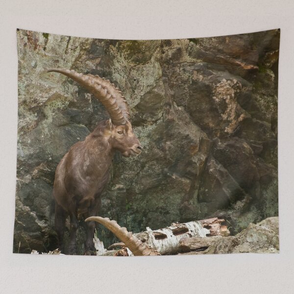 Item preview, Ibex On Rocks designed and sold by Michael Cummings.