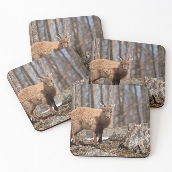 Item preview, Young Ibex designed and sold by Michael Cummings.