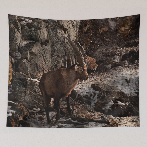 Item preview, Ibex On Snow Covered Rocks designed and sold by Michael Cummings.