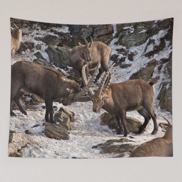 Item preview, Ibex On Rocks designed and sold by Michael Cummings.