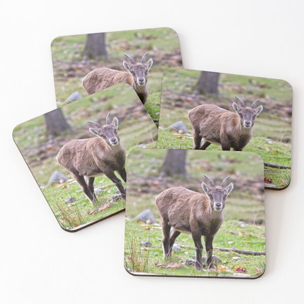 Item preview, Baby Ibex designed and sold by Michael Cummings.