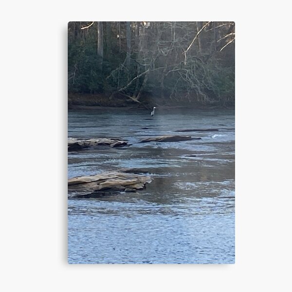 Chattahoochee River picture with an image of a great blue heron on a sticker, mug, and print.  Metal Print