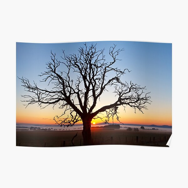 Dawn Poster