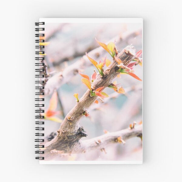 Item preview, Spring art photo designed and sold by DimDom.