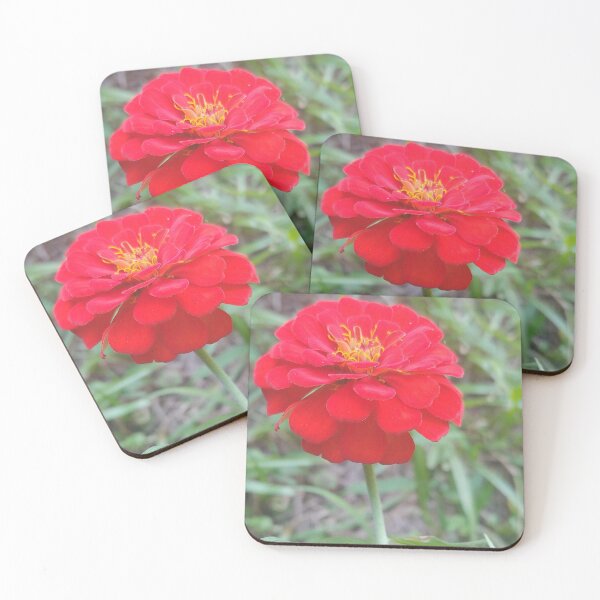 Item preview, Scarlet Zinnia outside designed and sold by Aqualyn.