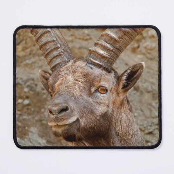 Item preview, Male Ibex designed and sold by Michael Cummings.