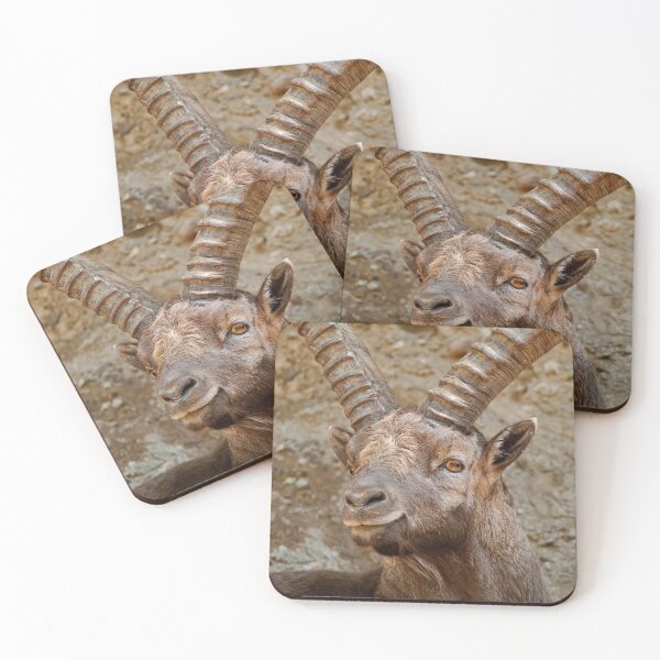 Item preview, Male Ibex designed and sold by Michael Cummings.