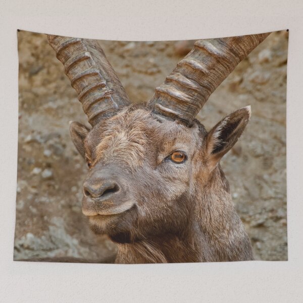 Item preview, Male Ibex designed and sold by Michael Cummings.