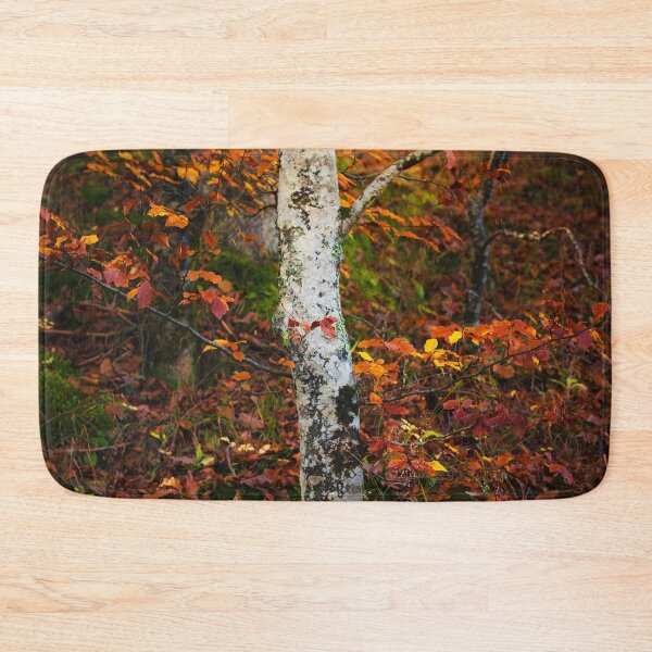 Item preview, Autumn birch in mossy forest designed and sold by Patrik Lovrin.