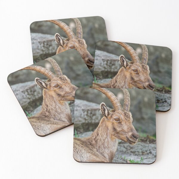 Item preview, Young Ibex designed and sold by Michael Cummings.