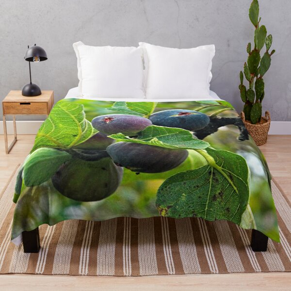 Item preview, Fig Tree Branch Ripe Figs Cluster Autumnal Fruit designed and sold by worldways.