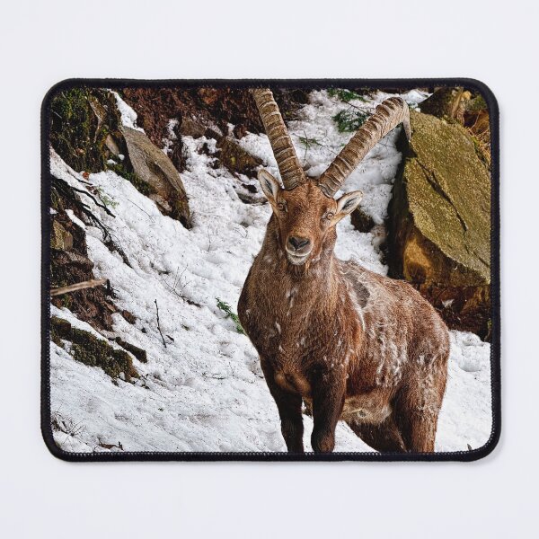 Item preview, Ibex On Hill designed and sold by Michael Cummings.