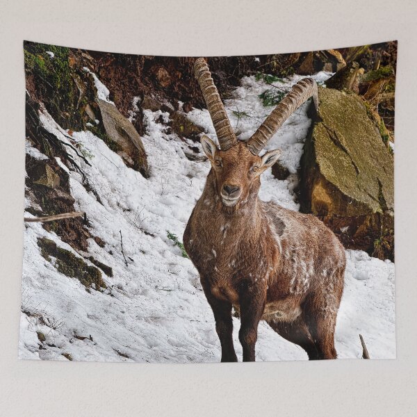 Item preview, Ibex On Hill designed and sold by Michael Cummings.