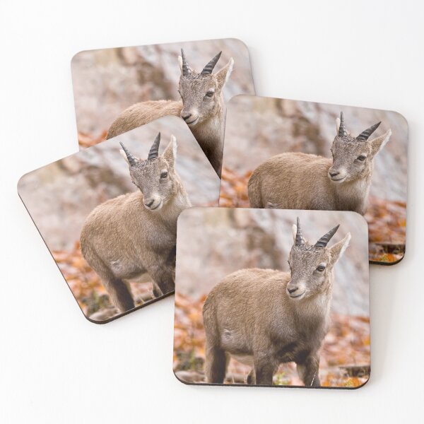 Item preview, Baby Ibex designed and sold by Michael Cummings.