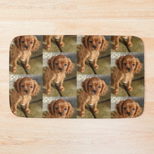 Item preview, Cavalier king Charles spaniel puppy designed and sold by Fluffycat2020.