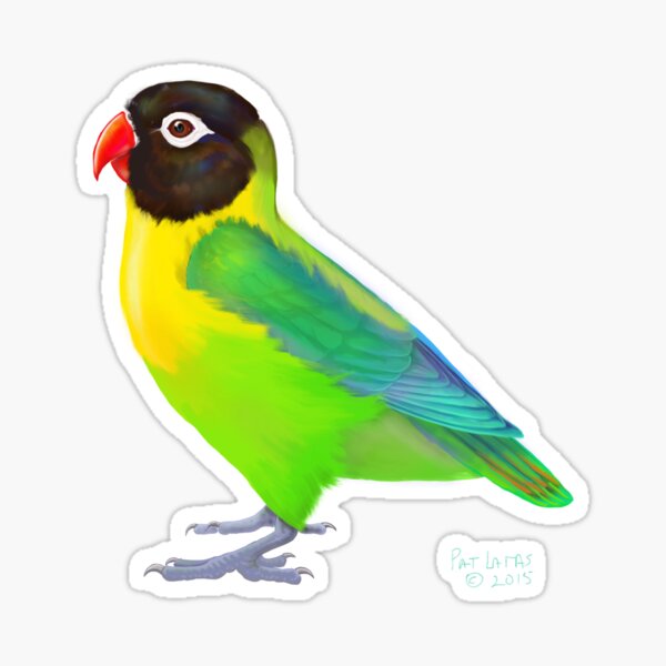 Item preview, Hooded Lovebird designed and sold by pjlatasdvm.