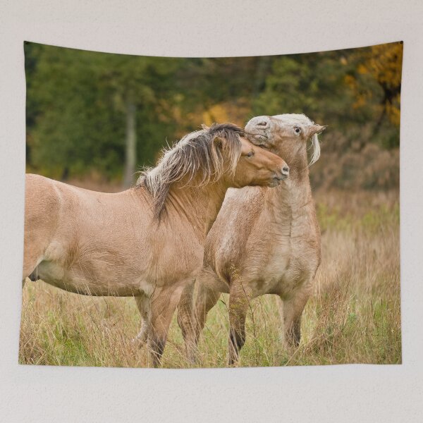 Item preview, Horsing Around designed and sold by Michael Cummings.