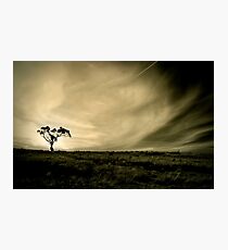 Tasmania's countryside Photographic Print