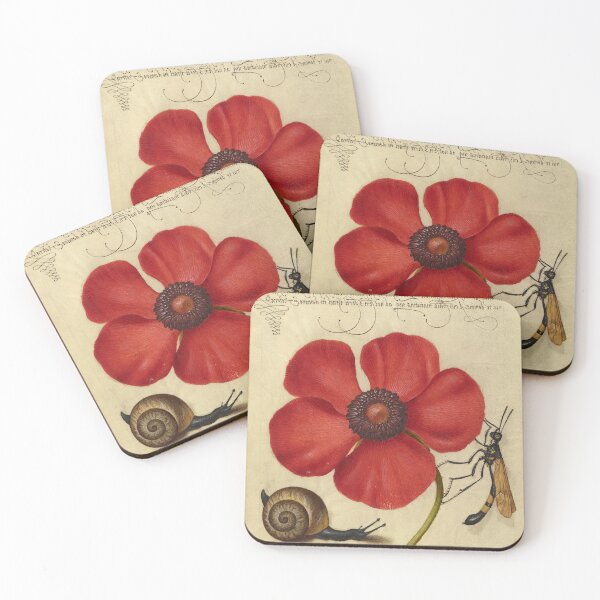 Item preview, Naturalist Manuscript: Insects, Flower, and Calligraphy Illumination by Joris Hoefnagel designed and sold by Naturalist Prints.