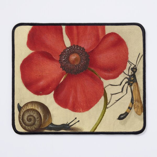 Item preview, Naturalist Manuscript: Insects, Flower, and Calligraphy Illumination by Joris Hoefnagel designed and sold by Naturalist Prints.
