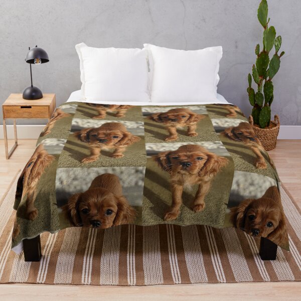 Artikelvorschau, Cavalier King Charles Spaniel Welpe entworfen und verkauft von Fluffycat2020.