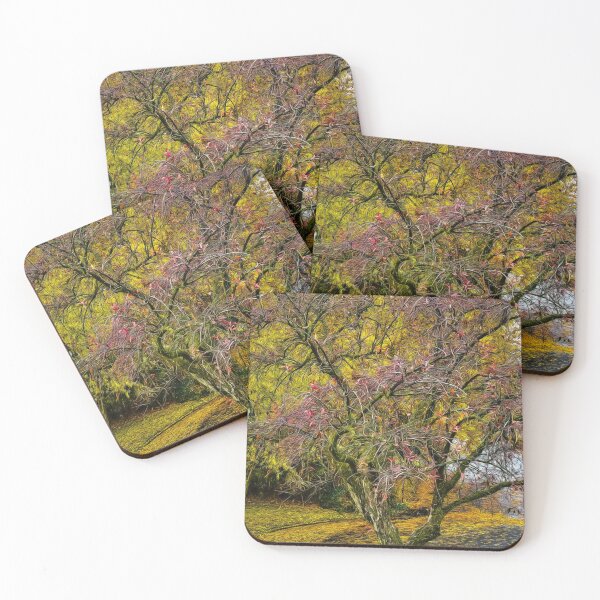Item preview, Finale designed and sold by Steve Walser.