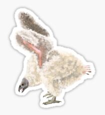California Condor Chick Stretching her wings Sticker