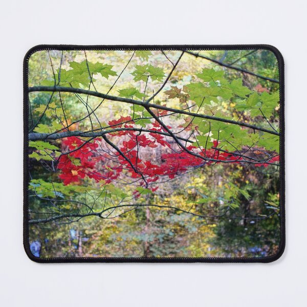 Item preview, Red Branch Over The Pond designed and sold by Kathilee.
