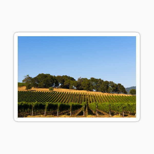 Item preview, California vineyards designed and sold by OrcaNature.