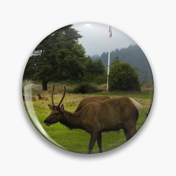 Item preview, Roosevelt elk roam in Orick, California designed and sold by OrcaNature.