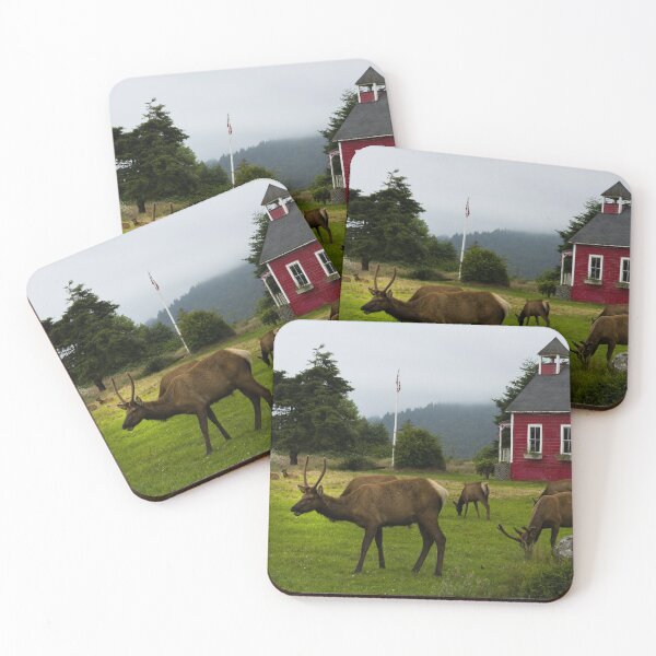 Item preview, Roosevelt elk roam in Orick, California designed and sold by OrcaNature.