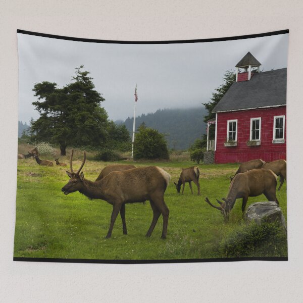 Item preview, Roosevelt elk roam in Orick, California designed and sold by OrcaNature.