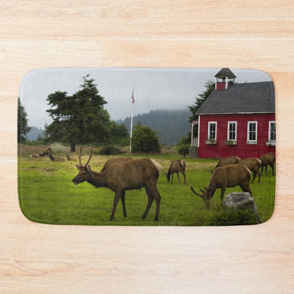 Item preview, Roosevelt elk roam in Orick, California designed and sold by OrcaNature.