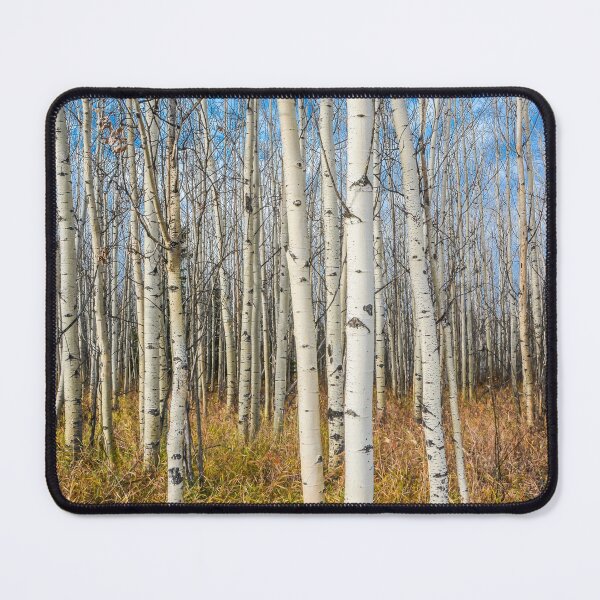 Item preview, Aspen Grove designed and sold by Jennifer Hulbert-Hortman.