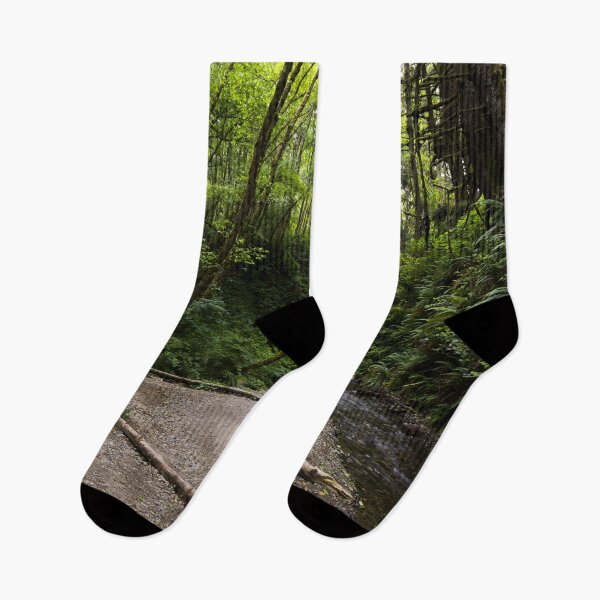 Item preview, Fern Canyon is a canyon in the Prairie Creek Redwoods State Park in Humboldt County, California designed and sold by OrcaNature.
