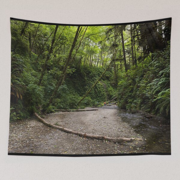 Item preview, Fern Canyon is a canyon in the Prairie Creek Redwoods State Park in Humboldt County, California designed and sold by OrcaNature.
