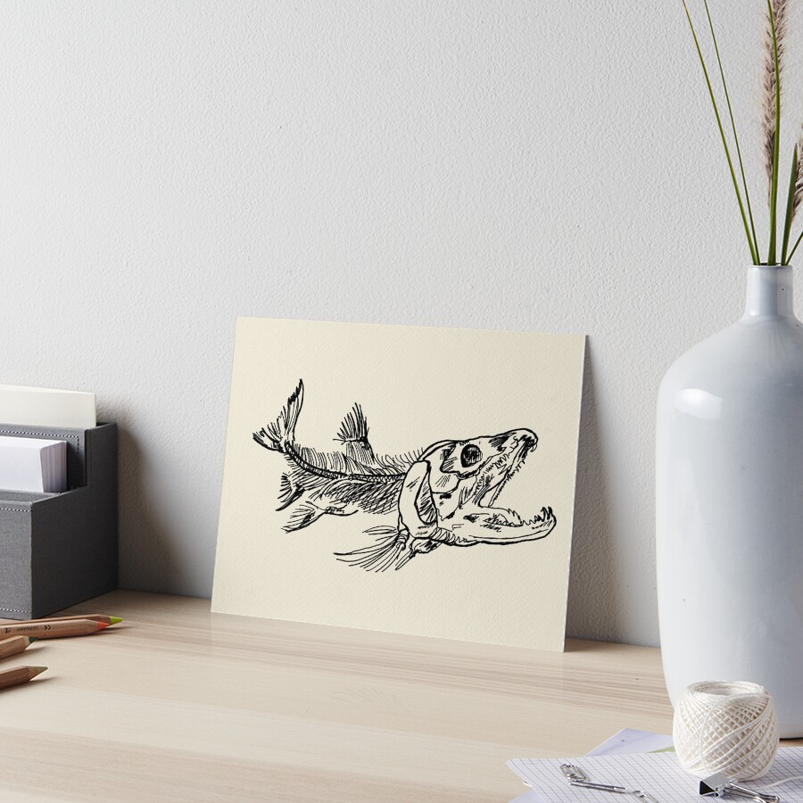 "Salmon Skeleton Anatomical Illustration" Art Board Print by
