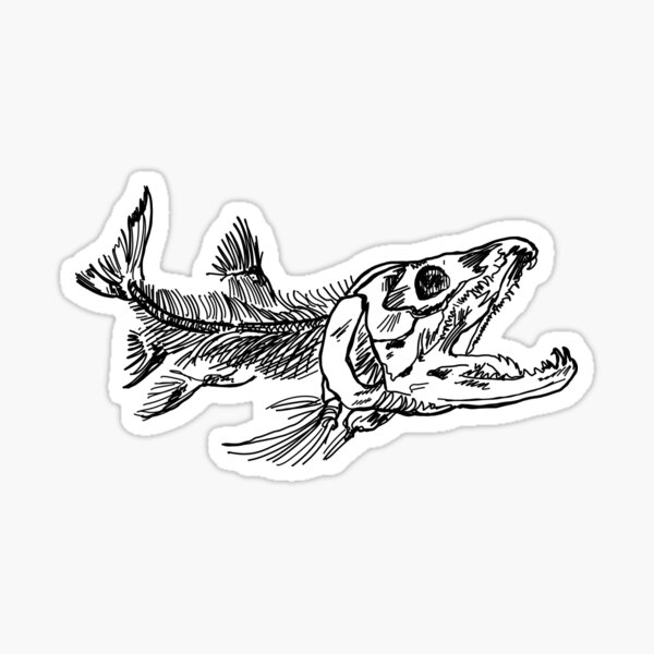Lykx Skull Fish Hook Fishing Bone Boat Truck Window Car Sticker